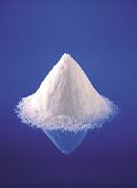 Aminokislina CREATINE MONOHYDRATE v prahu 1000g